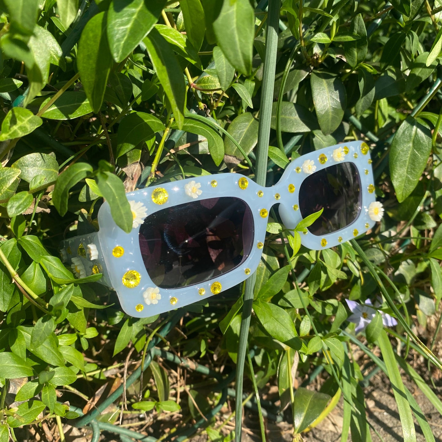 Daisy Duke Sunglasses
